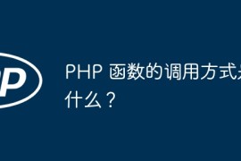 PHP 函数的调用方式是什么？