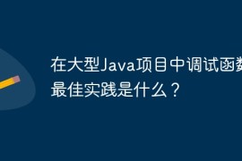 在大型Java项目中调试函数的最佳实践是什么？