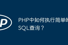 PHP中如何执行简单的SQL查询？