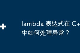 lambda 表达式在 C++ 中如何处理异常？