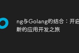 ng与Golang的结合：开启全新的应用开发之旅
