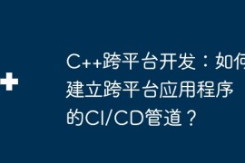 C++跨平台开发：如何建立跨平台应用程序的CI/CD管道？