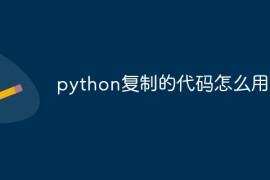 python复制的代码怎么用