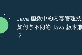 Java 函数中的内存管理技术如何与不同的 Java 版本兼容？