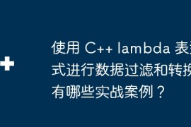 使用 C++ lambda 表达式进行数据过滤和转换有哪些实战案例？
