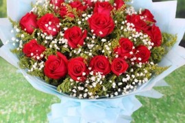 19支红玫瑰花语代表什么（浅谈19朵玫瑰的寓意和象征）