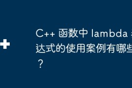 C++ 函数中 lambda 表达式的使用案例有哪些？