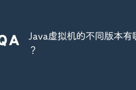 Java虚拟机的不同版本有哪些？