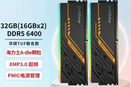 2024 篇五：小白攒机内存条怎么选？阿斯加特TUF联名DDR5 6400 内存条便宜且高端