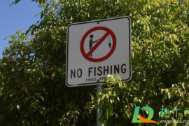 自然河道禁止钓鱼合法吗？乡镇有权利不让野河里钓鱼吗