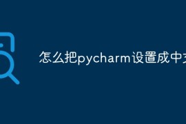 怎么把pycharm设置成中文