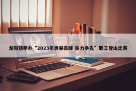 龙阳镇举办“2023年勇攀高峰 奋力争先”职工登山比赛