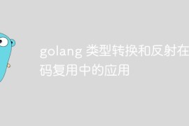 golang 类型转换和反射在代码复用中的应用