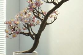 真“铁树开花”！何同学用记忆金属做了一盆花：光照开花