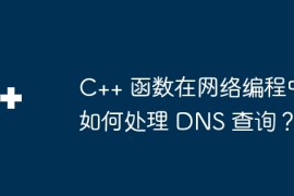 C++ 函数在网络编程中如何处理 DNS 查询？