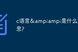 c语言&amp;amp;是什么意思?