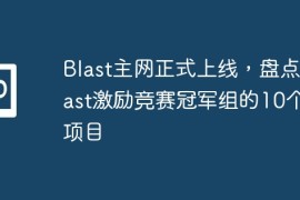 Blast主网正式上线，盘点Blast激励竞赛冠军组的10个新项目