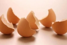 橘子皮和鸡蛋壳养花方法