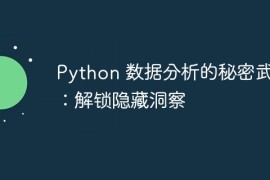 Python 数据分析的秘密武器：解锁隐藏洞察