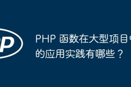 PHP 函数在大型项目中的应用实践有哪些？