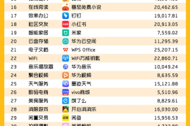 2024年中国移动互联网用户突破12.32亿，微信月活用户超10亿领跑榜单