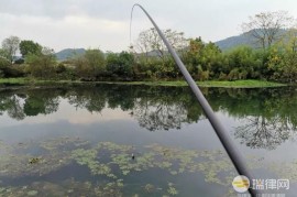 柳州市天然水域垂钓管理规定2023最新【全文】