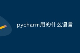 pycharm用的什么语言