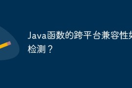 Java函数的跨平台兼容性如何检测？