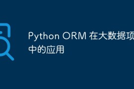 Python ORM 在大数据项目中的应用