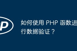 如何使用 PHP 函数进行数据验证？