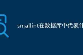 smallint在数据库中代表什么
