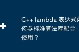 C++ lambda 表达式如何与标准算法库配合使用？