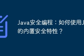 Java安全编程：如何使用Java的内置安全特性？