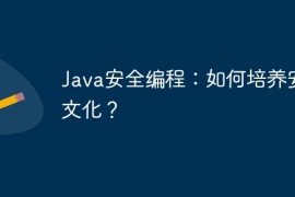Java安全编程：如何培养安全文化？