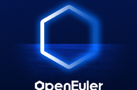 华为openEuler操作系统预计2024年占中国服务器市场超50%