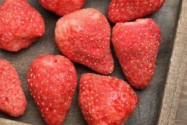 冻干草莓是凉性还是热性 冻干草莓属于凉性还是热性的食物呢(冻干草莓是发物吗)