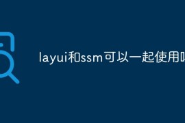 layui和ssm可以一起使用吗