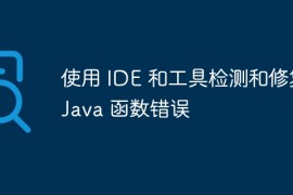 使用 IDE 和工具检测和修复 Java 函数错误