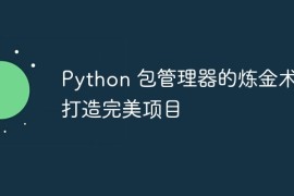 Python 包管理器的炼金术：打造完美项目