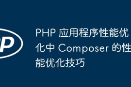 PHP 应用程序性能优化中 Composer 的性能优化技巧