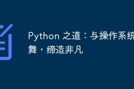 Python 之道：与操作系统共舞，缔造非凡