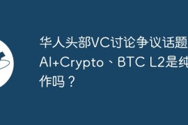 华人头部VC讨论争议话题：AI+Crypto、BTC L2是纯炒作吗？
