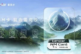 雷克沙发布全球首张1TB容量NM Card：可适配多款鸿蒙手机、平板等