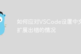 如何应对VSCode设置中文时扩展出错的情况