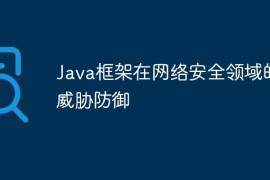 Java框架在网络安全领域的威胁防御
