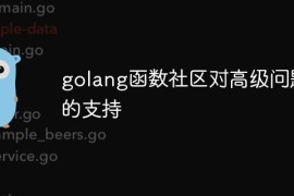 golang函数社区对高级问题的支持
