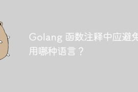 Golang 函数注释中应避免使用哪种语言？