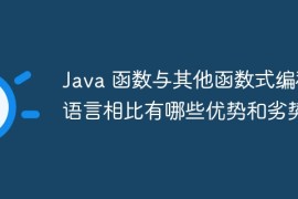 Java 函数与其他函数式编程语言相比有哪些优势和劣势？