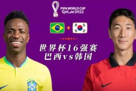 巴西对韩国比分预测(巴西对韩国世界杯)