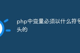 php中变量必须以什么符号开头的